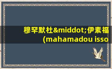 穆罕默杜·伊素福(mahamadou issoufou)